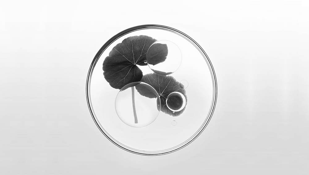 Care for the planet-new